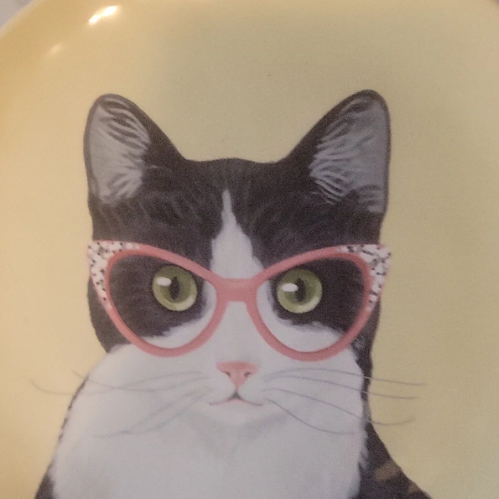 Pier 1 Set Of 3 Ironstone Party Cat Salad Plates